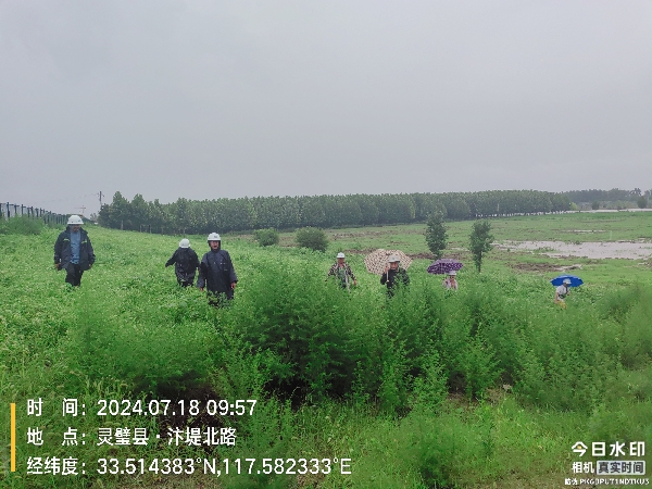 新汴河灵璧段巡堤查险照片.jpg